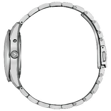 AQ4100-57C 〇The CITIZEN 30周年記念 限定モデル【ベルト調整無料･国内正規品】腕時計 メンズ ソーラー 限定の画像