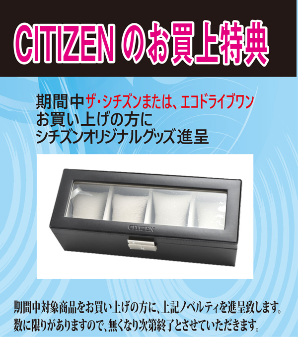 AQ4100-65L ザ・シチズン【国内正規品】【ノベルティ付・ｷﾞﾌﾄ包装･ｻｲｽﾞ調整無料】ソーラー・年差クオーツ 限定の画像