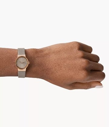 SKW3005　Skagen 【正規ﾒｰｶｰ保証書付】FREJA LILLE  二針 グレーストーン LiteHide™レザーウォッチの画像