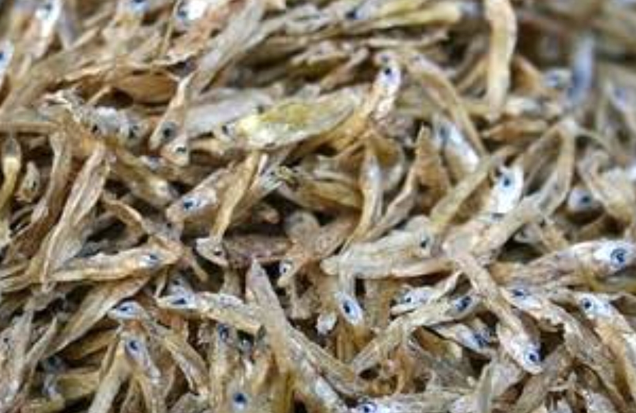 Dry Kaskiの画像