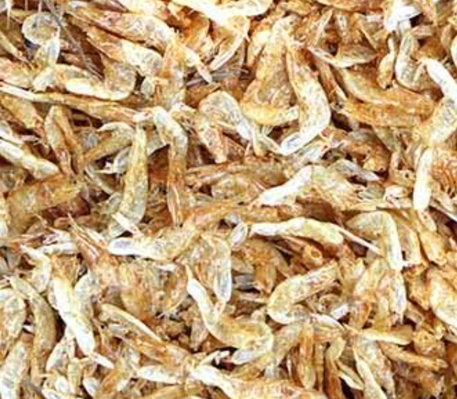 Dry Shrimp の画像