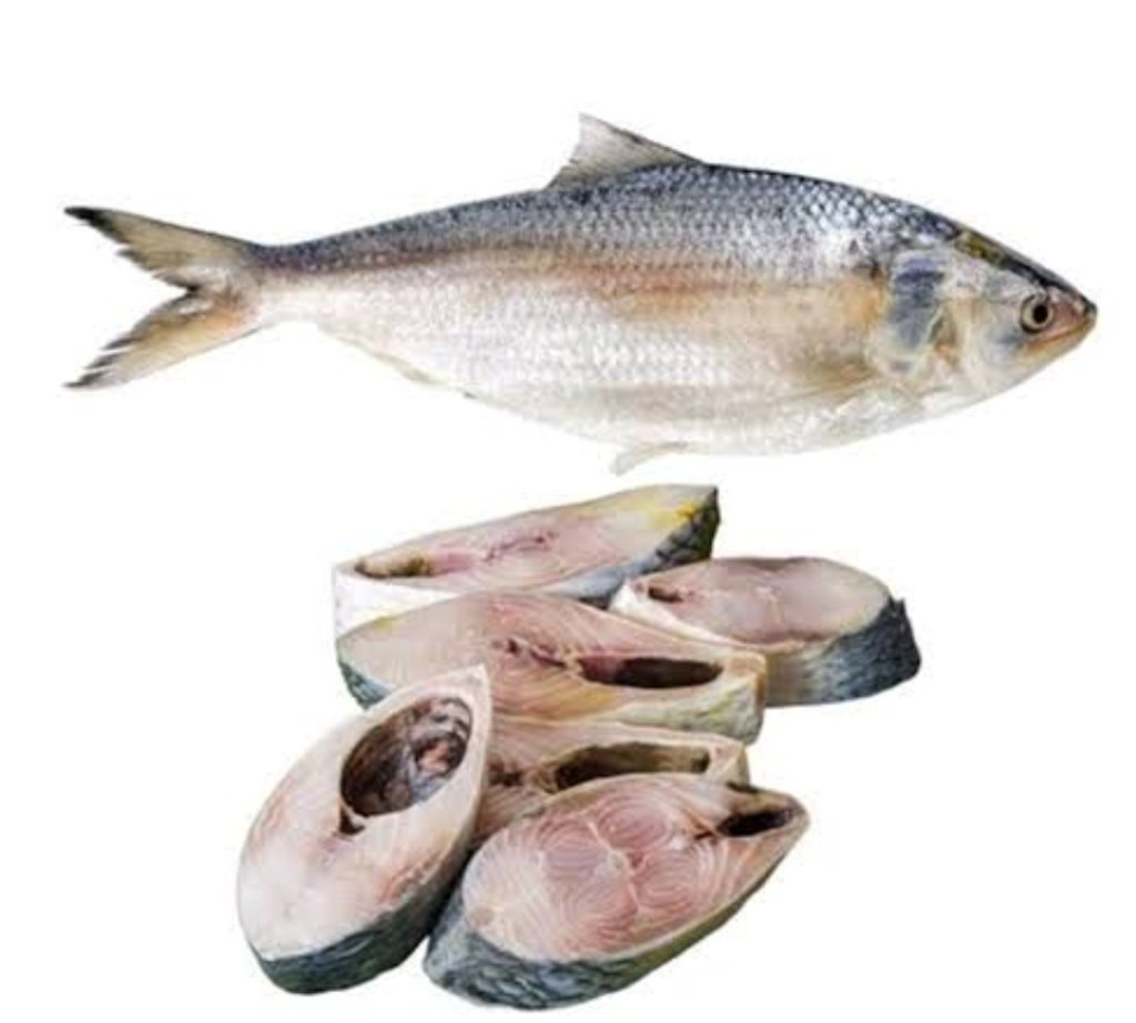 Elish Whole Cut (Per kg @ 2400¥)の画像