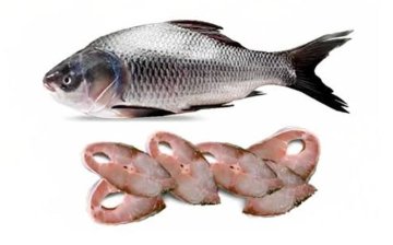 Katol (per kg @ 600¥)の画像