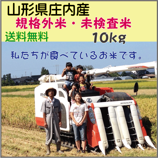 【送料無料（九州・沖縄を除く】山形県庄内産　未検査米・規格外米・中米　訳あり品　農家で食べているお米小粒　白米１０ｋｇ　在庫限りの画像