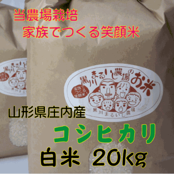 特別価格【送料無料（沖縄を除く）】特別栽培米山形県庄内産コシヒカリ　白米２０kg 家族みんなでつくる笑顔米　当店単独検査の画像