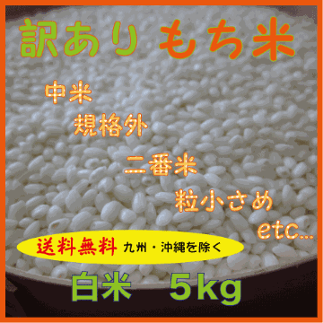 【送料無料（九州・沖縄を除く）】訳ありもち米　中米　規格外　二番米　粒小さめ　白米５ｋｇの画像