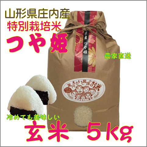 山形県庄内産つや姫　玄米５kg 令和６年度特別栽培米 農家直送　特A　送料無料（沖縄・九州を除く）鶴岡　安い　訳ありの画像