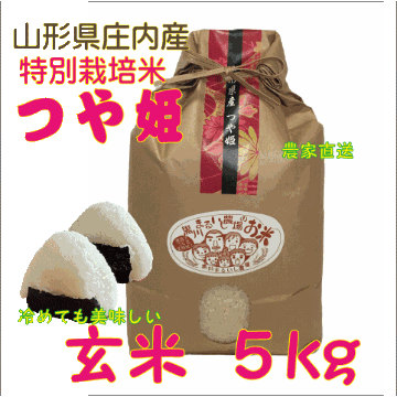 山形県庄内産つや姫　玄米５kg 令和６年度特別栽培米 農家直送　特A　送料無料（沖縄・九州を除く）鶴岡　安い　訳ありの画像