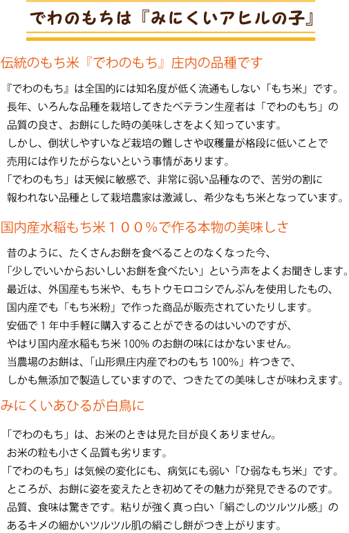 一升餅セット 背負い餅 一生餅 紅白 ナップサック付き リュック 小分け 個包装 小包装 名前入り 名入れラベル  山形県産もち米　送料無料（沖縄・九州除く）の画像