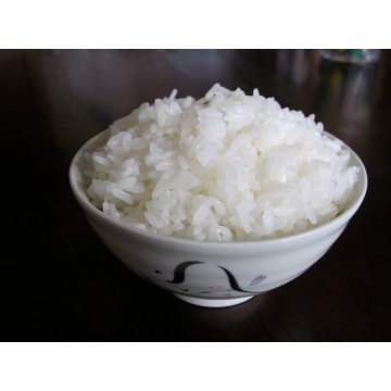 令和６年産　予約販売　玄米つや姫　20kg 送料無料（四国・九州・沖縄・離島を除く） 山形県庄内 農家直送　安い　新米　白米　小分け対応　精米　訳ありの画像