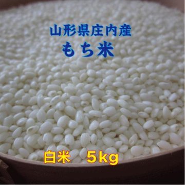 もち米　山形県庄内産でわのもち 白米5kg　特別栽培米 一等米　送料無料（沖縄・離島除く）糯米 ヒメノモチ ヒヨクモチと同レベルの画像
