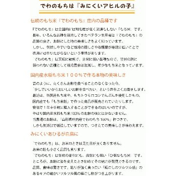 もち米　山形県庄内産でわのもち 白米10kg　特別栽培米 一等米　送料無料（沖縄・離島除く）糯米 ヒメノモチ ヒヨクモチと同レベル　の画像
