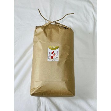 もち米　山形県庄内産でわのもち 白米10kg　特別栽培米 一等米　送料無料（沖縄・離島除く）糯米 ヒメノモチ ヒヨクモチと同レベル　の画像