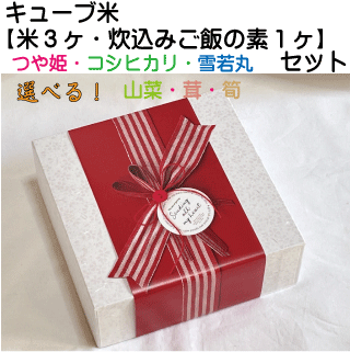 店長オススメ「キューブ型お米３種」と選べる「炊き込みごはんの素」セット 　贈答・ギフト・内祝い・お祝い・お礼・挨拶の画像