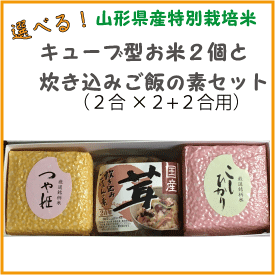 店長オススメ選べる「キューブ型お米２個」と「炊き込みごはんの素」セット 　贈答・ギフト・内祝い・お祝い・お礼・挨拶の画像