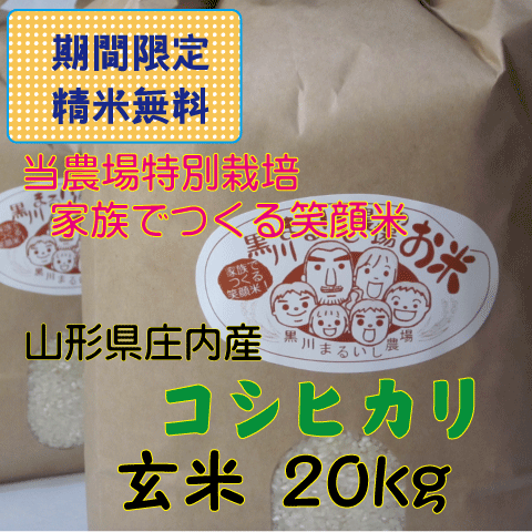 令和６年度特別栽培米山形県庄内産コシヒカリ　玄米２０kg（白米１８kg) 　鶴岡　贈答　お中元　お歳暮　精米無料　送料無料（沖縄・九州を除く）小分けの画像