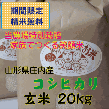 令和６年度特別栽培米山形県庄内産コシヒカリ　玄米２０kg（白米１８kg) 　鶴岡　贈答　お中元　お歳暮　精米無料　送料無料（沖縄・九州を除く）小分けの画像