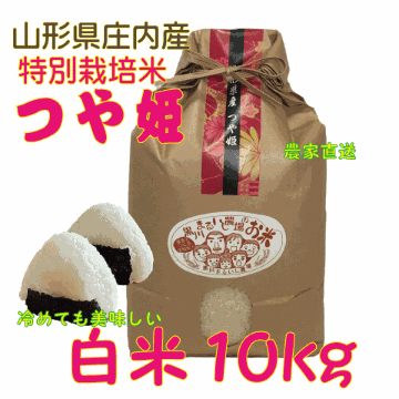 【送料無料（沖縄・九州を除く）】特別栽培米山形県庄内産 つや姫　白米１０kg 家族みんなでつくる笑顔米の画像