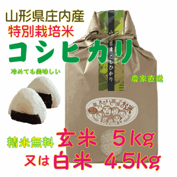 精米無料【送料無料（沖縄を除く）】特別栽培米山形県庄内産コシヒカリ　玄米５kg白米(4.5kg) 一等米　鶴岡　贈答　お中元　お歳暮の画像