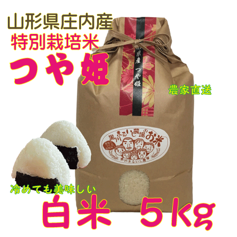 山形県庄内産つや姫　白米５kg 令和6年度特別栽培米 農家直送 　特A 精米 送料無料（沖縄・九州を除く）の画像