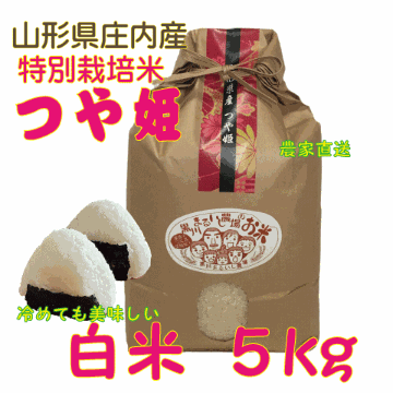 山形県庄内産つや姫　白米５kg 令和6年度特別栽培米 農家直送 　特A 精米 送料無料（沖縄・九州を除く）の画像