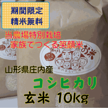 特別価格【送料無料（沖縄を除く）】特別栽培米山形県庄内産コシヒカリ　玄米１０kg（白米９kg） 家族みんなでつくる笑顔米の画像