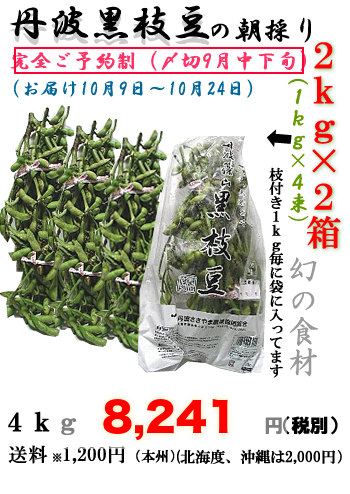 丹波黒枝豆（若さや）２ｋｇX2函(１ｋｇ4束）の画像