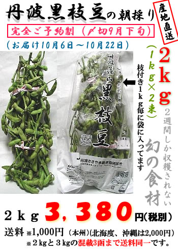 丹波黒枝豆（若さや）２ｋｇX2函(１ｋｇ4束）の画像