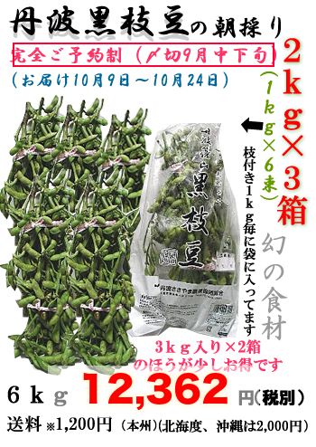 丹波黒枝豆（若さや）２ｋｇX3函(１ｋｇ6束）の画像