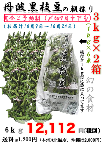 丹波黒枝豆（若さや）３ｋｇX2函(１ｋｇ6束）の画像