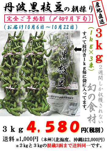 丹波黒枝豆（若さや）３ｋｇX2函(１ｋｇ6束）の画像