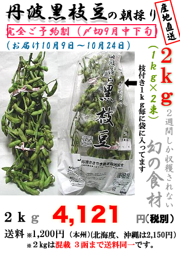 丹波黒枝豆（若さや）２ｋｇ(１ｋｇ２束）の画像