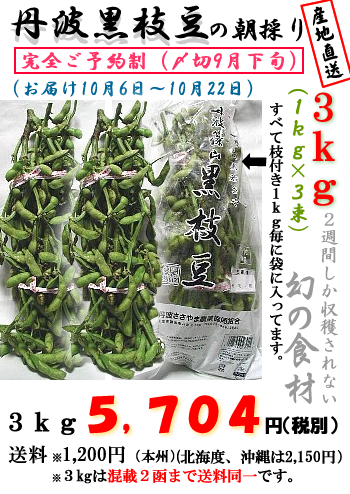 丹波黒枝豆（若さや）３ｋｇX1函(１ｋｇ３束）の画像