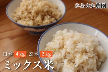 ～予約受付中～　ミックス米　白米4㎏　玄米2㎏（計6㎏） 【送料無料】　　10月下旬から順次発送　の画像