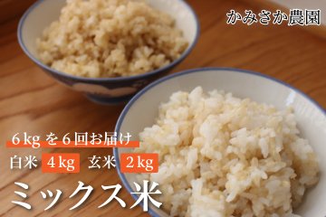 ～予約受付中～　ミックス米　6㎏×6回（計36㎏）　白米4㎏　玄米2㎏　【送料無料】　　10月下旬から順次発送の画像