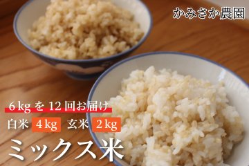 ～予約受付中～　ミックス米　6㎏×12回（計72㎏）　白米4㎏　玄米2㎏　【送料無料】　　10月下旬から順次発送の画像