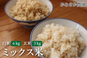 ～予約受付中～　ミックス米　白米6㎏　玄米3㎏（計9㎏） 【送料無料】　　10月下旬から順次発送の画像