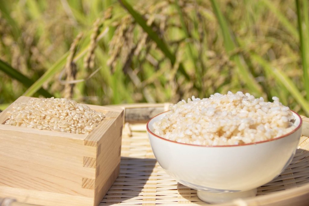 かみさか米　10㎏　玄米　【送料無料】　　10月下旬から順次発送の画像