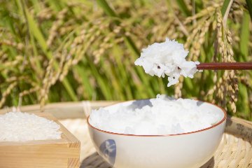 かみさか米　5㎏×6回（計30㎏）　白米　【送料無料】　　10月下旬から順次発送　の画像