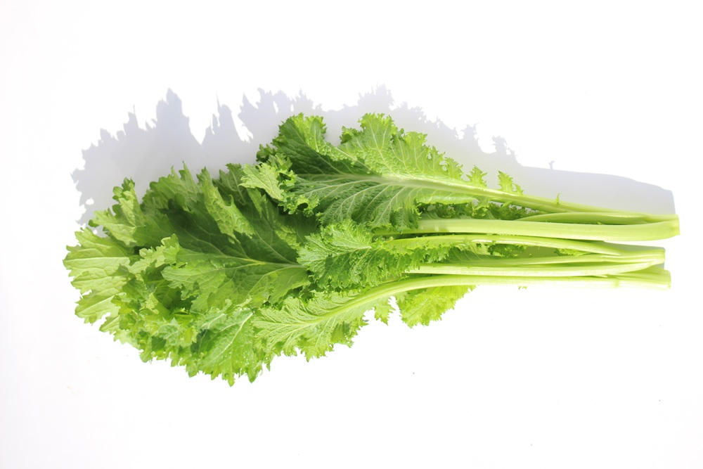 【常温便】佐賀県野菜【サガンベジ】有機JASグリーンマスタード(50g)の画像