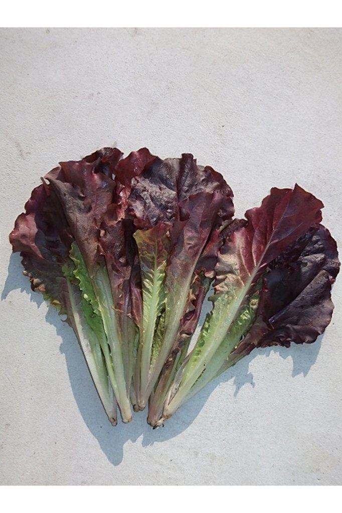 【常温便】佐賀県野菜【サガンベジ】有機JASロロロッサ(100g)の画像