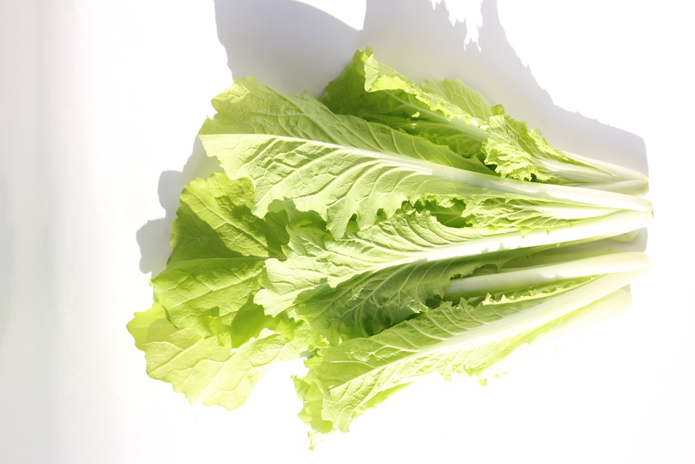 【常温便】佐賀県野菜【サガンベジ】有機JAS山東菜(150g)の画像