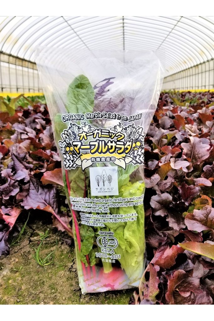 【常温便】佐賀県野菜【サガンベジ】有機JASマーブルサラダ(150g)の画像