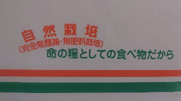 【常温便】和歌山県産自然栽培レモン 4kg / 8kg 産地直送！【送料無料】の画像
