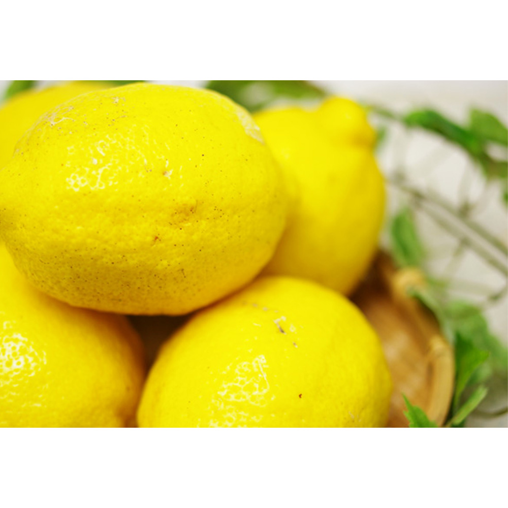 【常温便】【送料無料】産地直送の和歌山県産自然栽培レモン(4kg・8kg)の画像