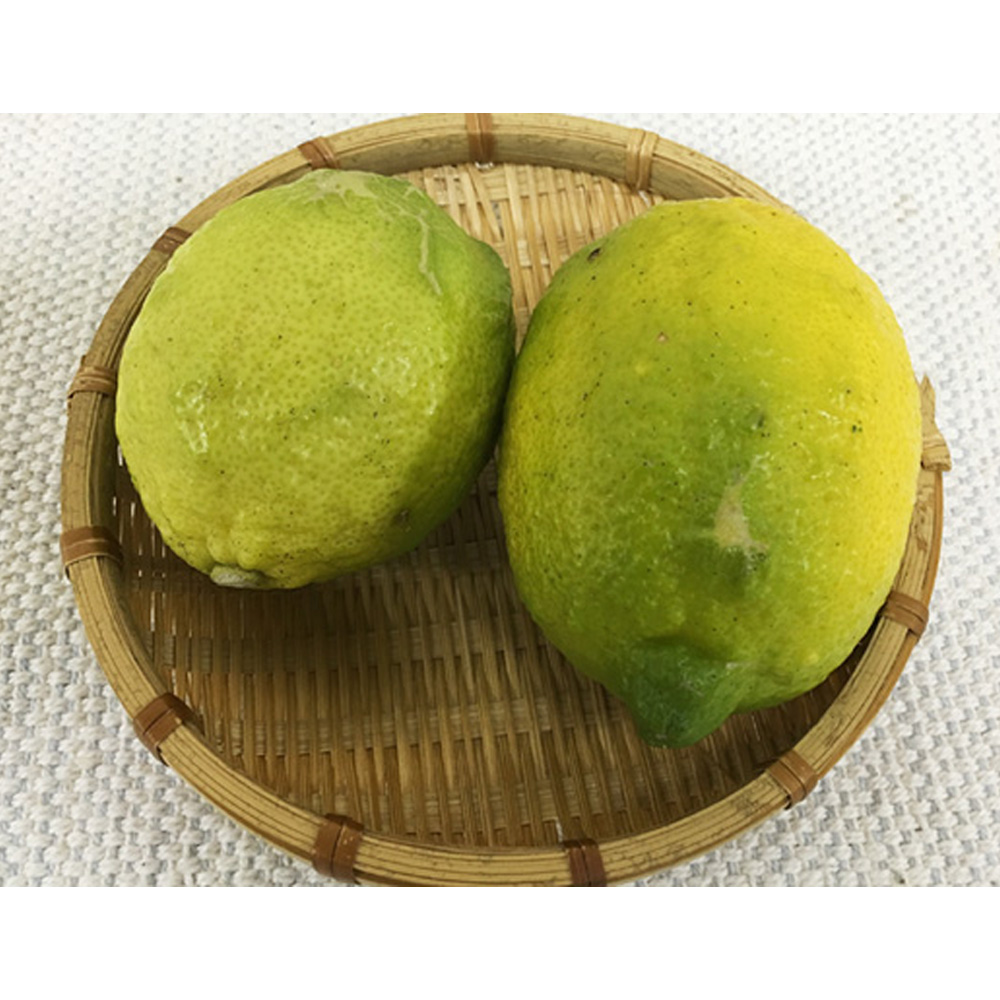【常温便】【送料無料】産地直送の和歌山県産自然栽培レモン(4kg・8kg)の画像