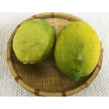 【常温便】【送料無料】産地直送の和歌山県産自然栽培レモン(4kg・8kg)の画像