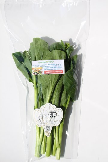 【常温便】佐賀県野菜【サガンベジ】有機JASサイシン(150g)の画像