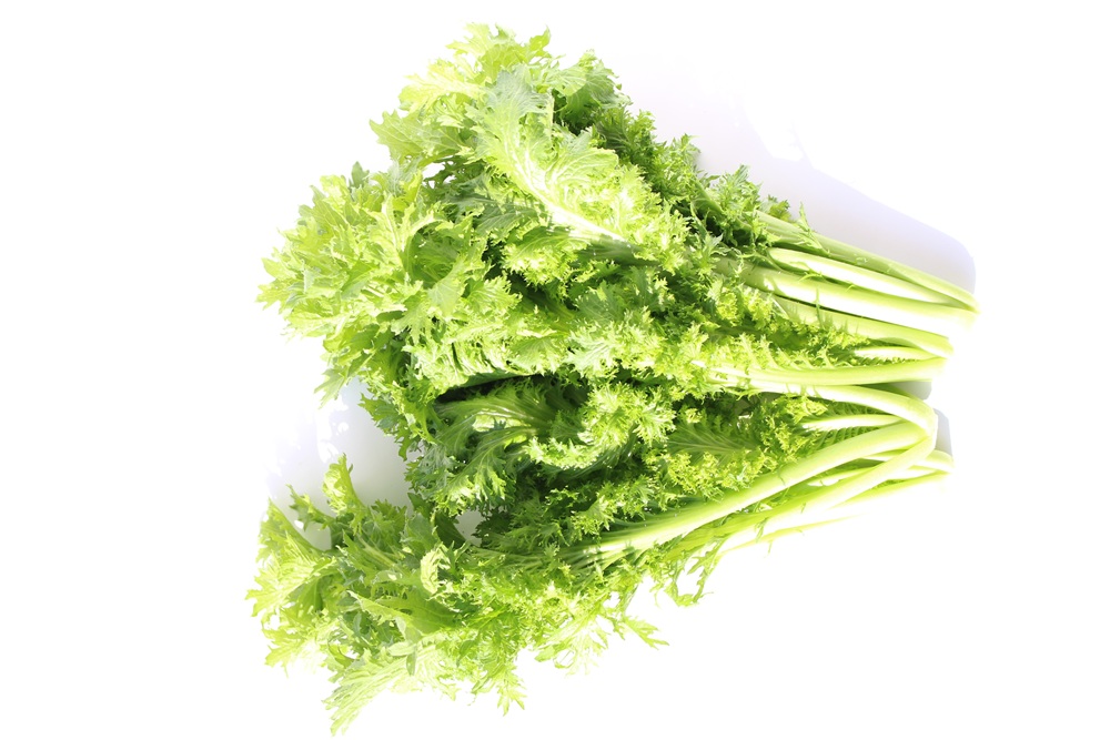 【常温便】※業務用※ 佐賀県【サガンベジ】有機JASわさび菜（1kg）の画像