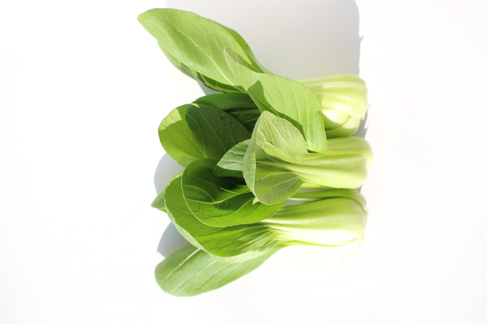 【常温便】※業務用※ 佐賀県【サガンベジ】有機JASミニちんげん菜（1kg）の画像